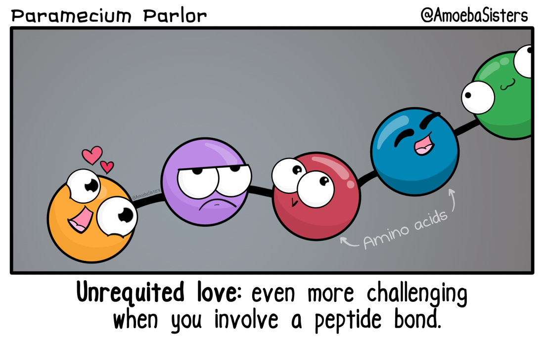 AMINO ACID UNREQUITED LOVE - Science with The Amoeba Sisters