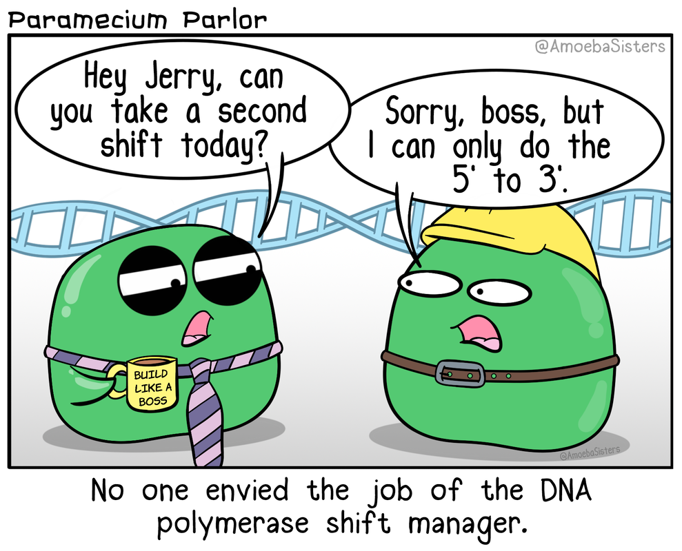 Paramecium Parlor Comics - Science with The Amoeba Sisters