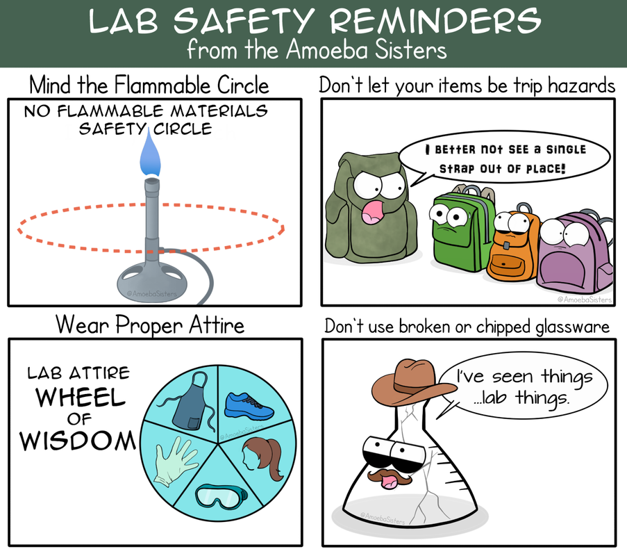Paramecium Parlor Comics - Science with The Amoeba Sisters