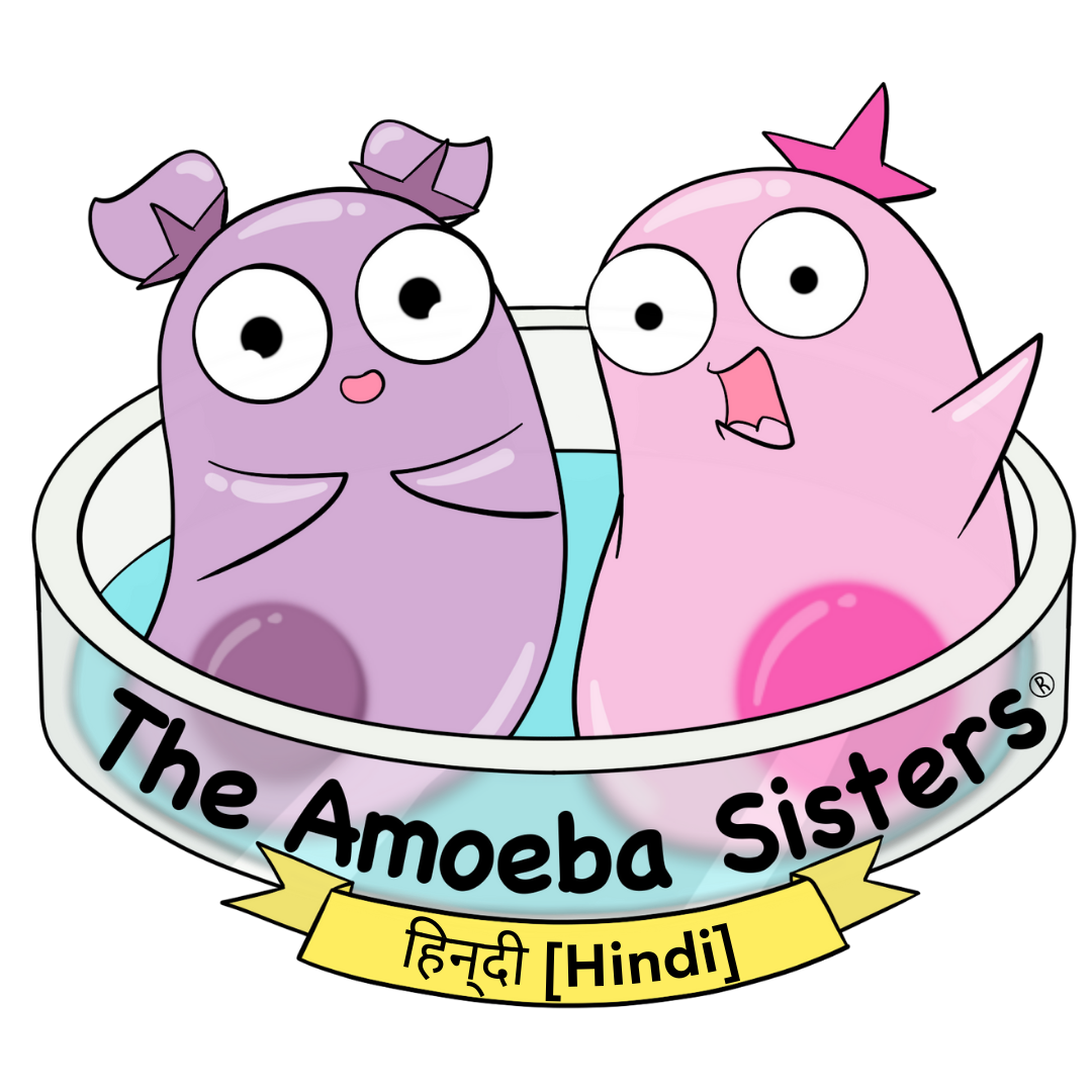 Translating Amoeba Sisters Videos - Science with The Amoeba Sisters