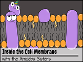 Amoeba Sisters Genetic Drift Answer Key : 12 Day Biology Review File 7